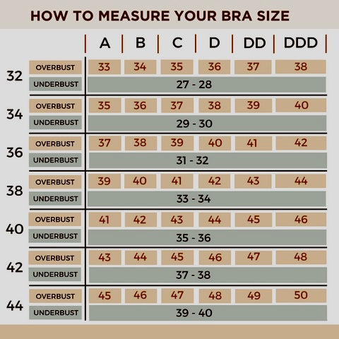 Women Everyday Lightly Padded Bra