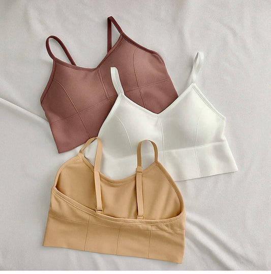 Pack of 3 Women Sports Lightly Padded Bra