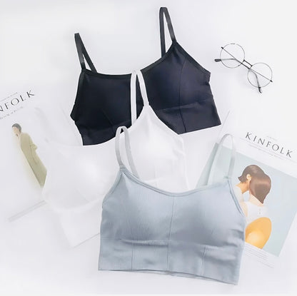 Pack of 3 Women Sports Lightly Padded Bra